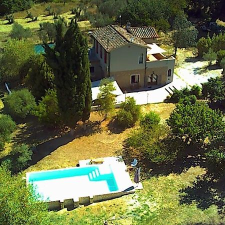 Le Giuncaie - Vigna Con Alloggio Montescudaio Exteriör bild