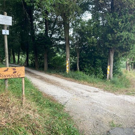 Le Giuncaie - Vigna Con Alloggio Montescudaio Exteriör bild