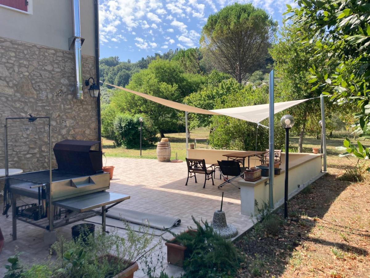 Le Giuncaie - Vigna Con Alloggio Montescudaio Exteriör bild