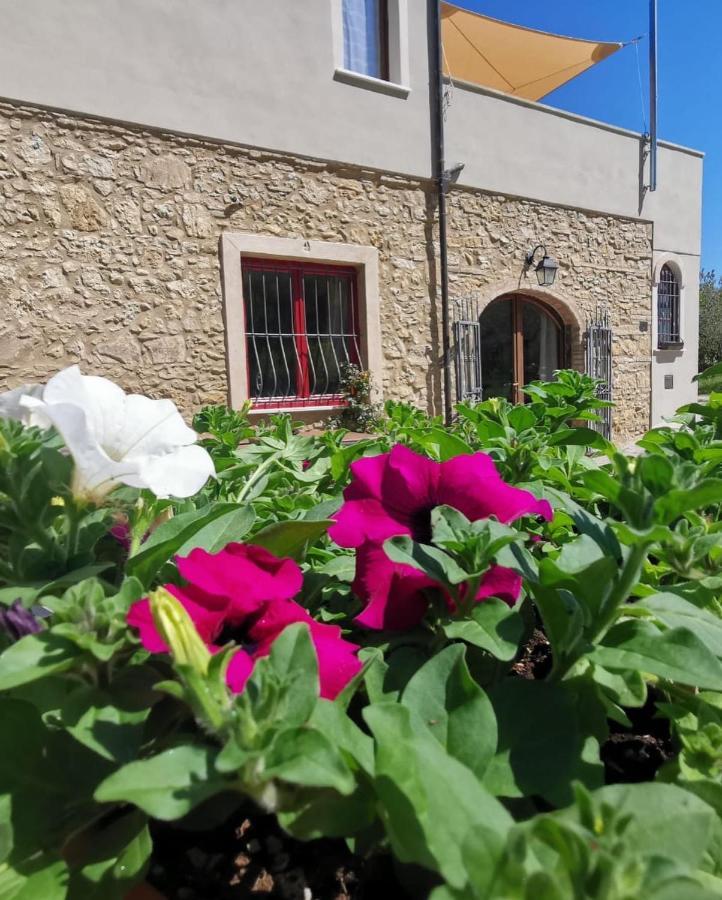 Le Giuncaie - Vigna Con Alloggio Montescudaio Exteriör bild