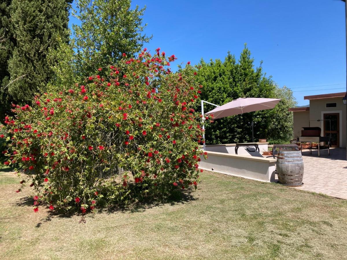 Le Giuncaie - Vigna Con Alloggio Montescudaio Exteriör bild