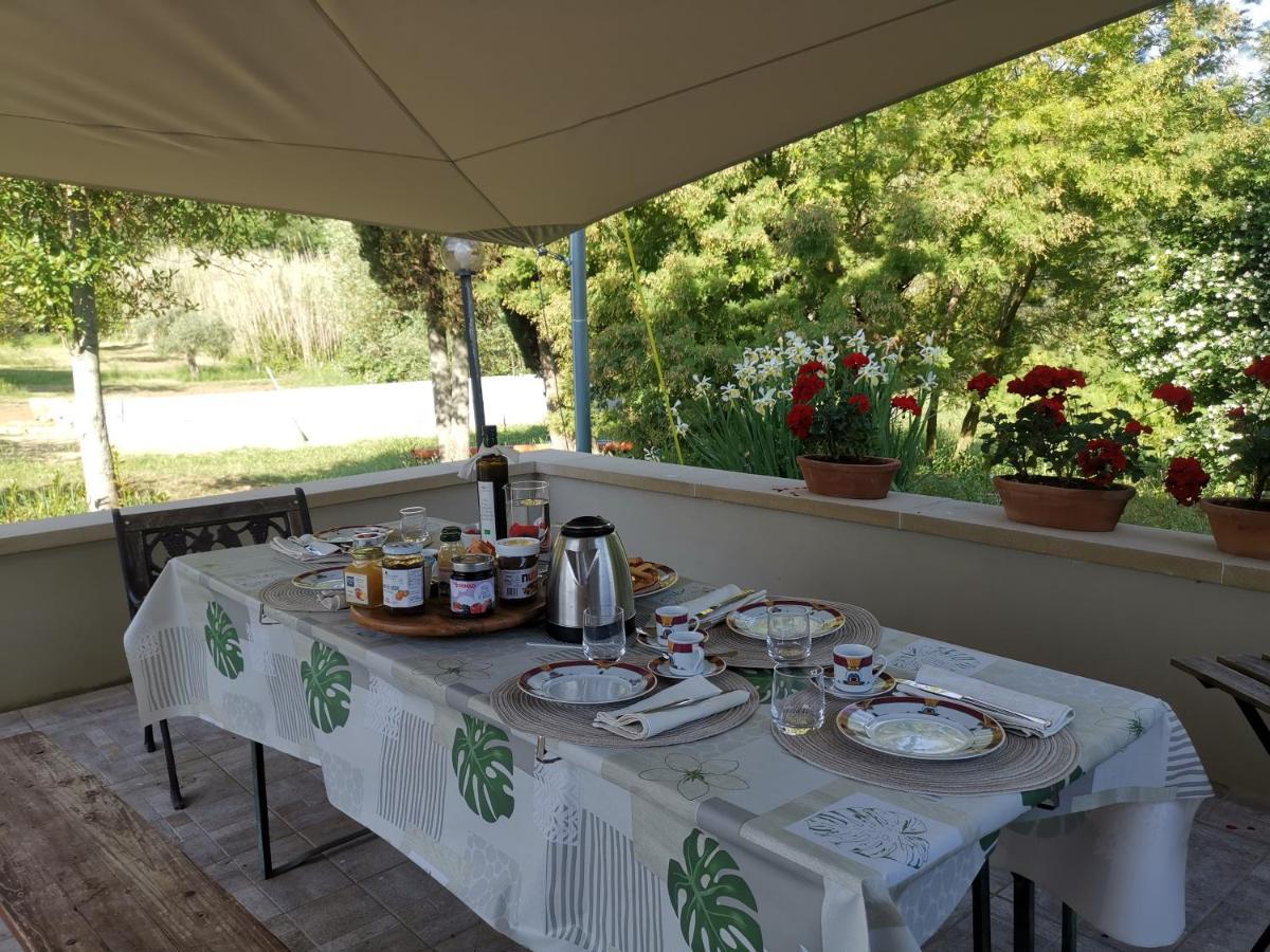 Le Giuncaie - Vigna Con Alloggio Montescudaio Exteriör bild