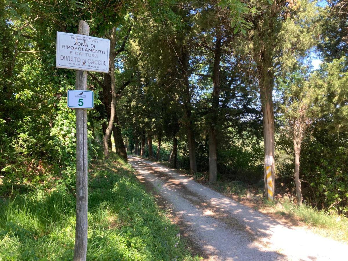 Le Giuncaie - Vigna Con Alloggio Montescudaio Exteriör bild