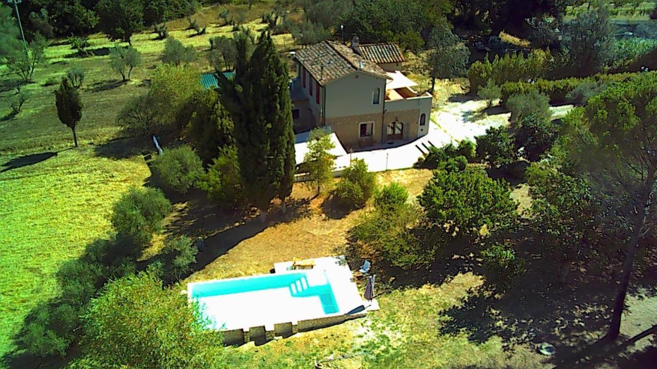Le Giuncaie - Vigna Con Alloggio Montescudaio Exteriör bild