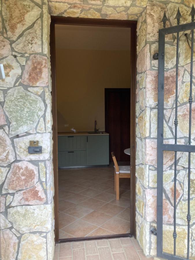 Le Giuncaie - Vigna Con Alloggio Montescudaio Exteriör bild