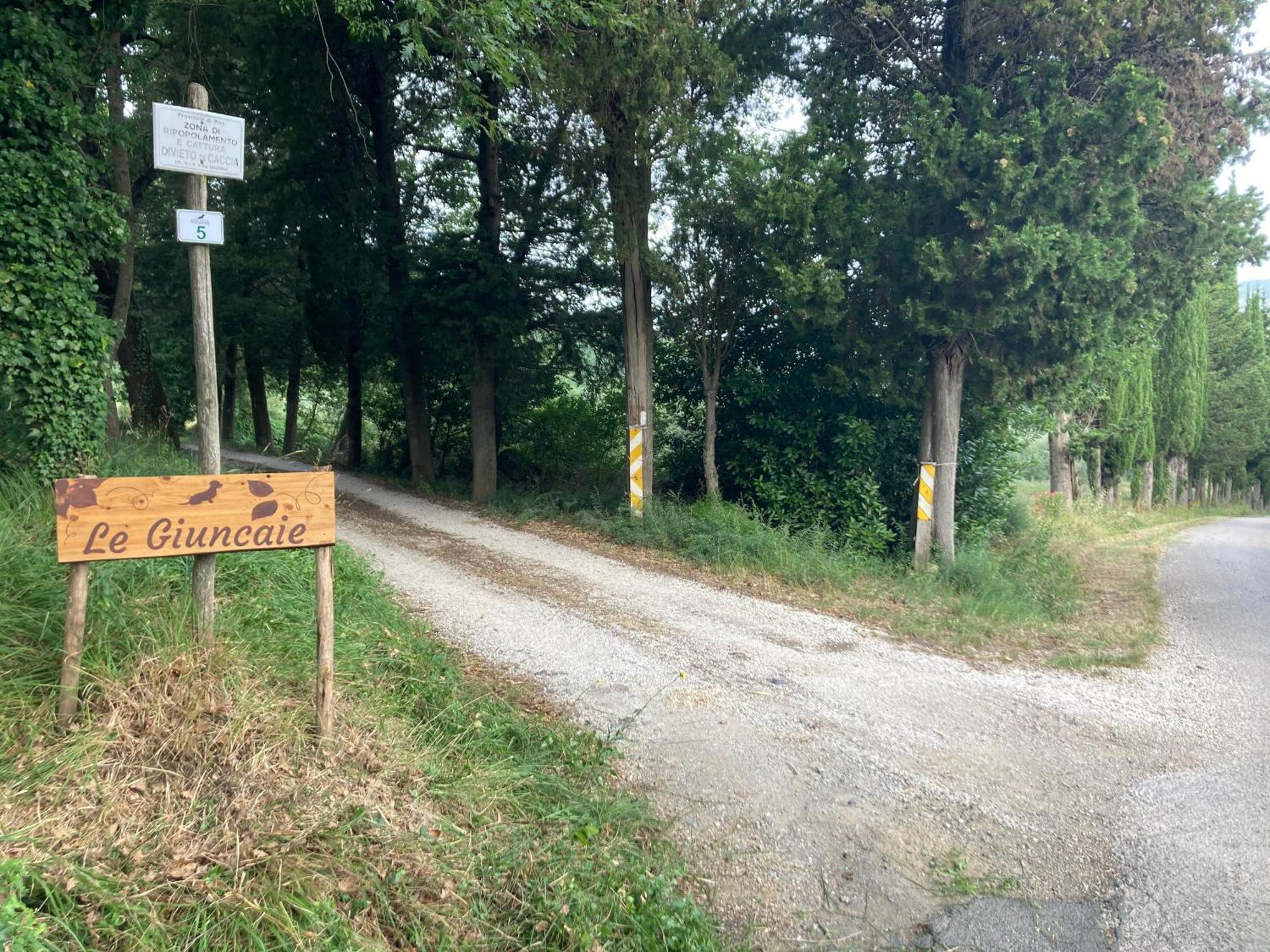 Le Giuncaie - Vigna Con Alloggio Montescudaio Exteriör bild